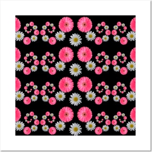 pink flowers daisy flower blooming daisies blooms Posters and Art